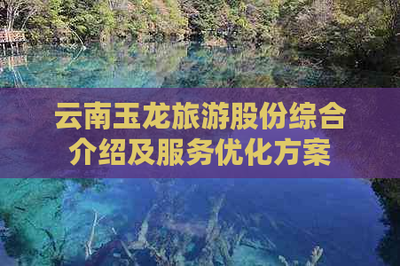 云南玉龍旅游股份 國內旅游業務綜合解析與服務優化藍圖